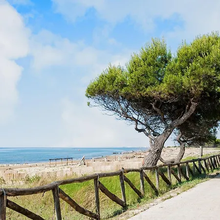 Near The Sea-beahost *