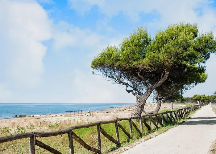 Near The Sea-beahost *